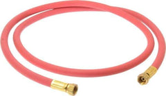 Coilhose Pneumatics - Paint Sprayer Hose with Fittings - Fixture, Compatible with Paint Sprayers - All Tool & Supply