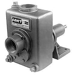 American Machine & Tool - 2 Inch Outlet, Cast Iron, Pedestal Mount Pump - F.G. Casing Seal, Pedestal Pump - All Tool & Supply