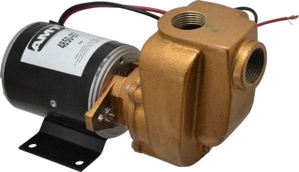 American Machine & Tool - 12 Volt, 1/8 hp, 3/4 Inlet, Bronze Utility Pump - 14 Max Head Pressure, 3/4 Inch Outlet - All Tool & Supply