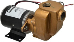 American Machine & Tool - 12 Volt, 1/8 hp, 3/4 Inlet, Bronze Utility Pump - 14 Max Head Pressure, 3/4 Inch Outlet - All Tool & Supply