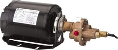 Pentair - 1/2 hp, 3/8 Port, -40 to 210°F Fluid Temp, Carbonator Gear Pump - Bronze, 3/8 Inlet Size, 4.25 GPM, NPT - All Tool & Supply