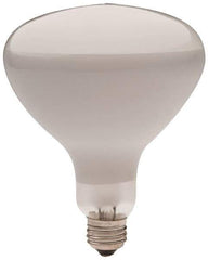 Philips - 300 Watt Incandescent Flood/Spot Medium Screw Lamp - 2,700°K Color Temp, 2,960 Lumens, 12 Volts, Dimmable, R40, 2,000 hr Avg Life - All Tool & Supply