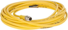 Brad Harrison - 4 Amp, M8 Male Straight to Pigtail Cordset Sensor and Receptacle - 60 VAC, 75 VDC, 4m Cable Length, IP68 Ingress Rating - All Tool & Supply