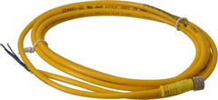 Brad Harrison - 4 Amp, M8 Female Straight to Pigtail Cordset Sensor and Receptacle - 60 VAC, 75 VDC, 2m Cable Length, IP68 Ingress Rating - All Tool & Supply