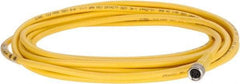 Brad Harrison - 3 Amp, M8 Female Straight to Pigtail Cordset Sensor and Receptacle - 60 VAC, 75 VDC, 4m Cable Length, IP68 Ingress Rating - All Tool & Supply