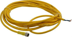 Brad Harrison - 3 Amp, M8 Female Straight to Pigtail Cordset Sensor and Receptacle - 60 VAC, 75 VDC, 5m Cable Length, IP68 Ingress Rating - All Tool & Supply