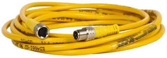 Brad Harrison - 4 Amp, M8 Male Straight to Female Straight Cordset Sensor and Receptacle - 60 VAC, 75 VDC, 4m Cable Length, IP68 Ingress Rating - All Tool & Supply