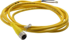 Brad Harrison - 4 Amp, M12 Female Straight to Pigtail Cordset Sensor and Receptacle - 250 VAC/VDC, 2m Cable Length, IP67 Ingress Rating - All Tool & Supply