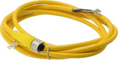 Brad Harrison - 4 Amp, M12 Female Straight to Pigtail Cordset Sensor and Receptacle - 250 VAC/VDC, 2m Cable Length, IP67 Ingress Rating - All Tool & Supply