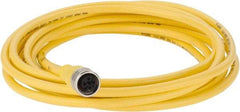 Brad Harrison - Female Straight Cordset Sensor and Receptacle - 250 VAC/VDC, 4m Cable Length, IP68 Ingress Rating - All Tool & Supply