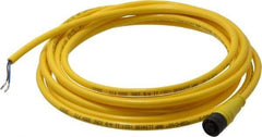 Brad Harrison - Female Straight Cordset Sensor and Receptacle - 250 VAC/VDC, 12 Ft. Long Cable, IP68 Ingress Rating - All Tool & Supply