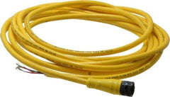 Brad Harrison - 4 Amp, 1/2-20 UNF Female Straight to Pigtail Cordset Sensor and Receptacle - 250 VAC/VDC, 3.70m Cable Length, IP67 Ingress Rating - All Tool & Supply