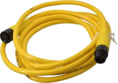 Brad Harrison - Female to Male Cordset Sensor and Receptacle - 250 VAC/VDC, 6 Ft. Long Cable, IP68 Ingress Rating - All Tool & Supply