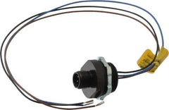 Brad Harrison - 4 Amp, M12 Male Straight Receptacle - 250 VAC/VDC, 0.31m Cable Length, IP67 Ingress Rating - All Tool & Supply