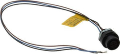 Brad Harrison - 4 Amp, M12 Female Straight Receptacle - 250 VAC/VDC, 0.31m Cable Length, IP67 Ingress Rating - All Tool & Supply