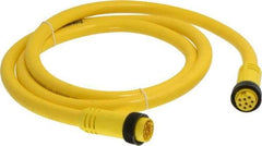 Brad Harrison - 7 Amp, Female Straight, Male Straight Cordset Sensor and Receptacle - 600 Volt, 1.83m Cable Length, IP67 Ingress Rating - All Tool & Supply