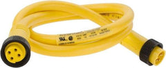 Brad Harrison - 10 Amp, Female Straight, Male Straight Cordset Sensor and Receptacle - 600 Volt, 0.91m Cable Length, IP67 Ingress Rating - All Tool & Supply