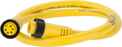 Brad Harrison - 8 Amp, Female Straight, Male Straight Cordset Sensor and Receptacle - 600 Volt, 0.91m Cable Length, IP67 Ingress Rating - All Tool & Supply