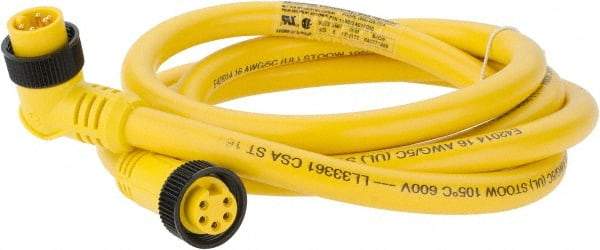 Brad Harrison - 8 Amp, Female 90° to Male 90° Cordset Sensor and Receptacle - 600 VAC/VDC, 6 Ft. Long Cable, IP68 Ingress Rating - All Tool & Supply