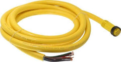 Brad Harrison - 5 Amp, Female Straight to Pigtail Cordset Sensor and Receptacle - 600 Volt, 3.66m Cable Length, IP67 Ingress Rating - All Tool & Supply