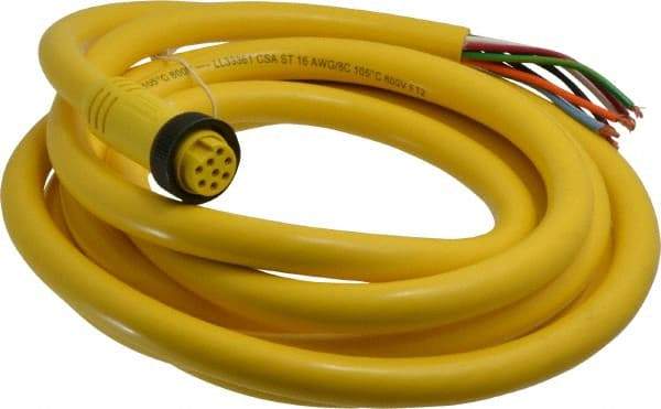 Brad Harrison - 7 Amp, Female Straight to Pigtail Cordset Sensor and Receptacle - 600 Volt, 3.66m Cable Length, IP67 Ingress Rating - All Tool & Supply