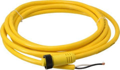 Brad Harrison - 13 Amp, Female Straight to Pigtail Cordset Sensor and Receptacle - 600 Volt, 3.66m Cable Length, IP67 Ingress Rating - All Tool & Supply