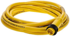 Brad Harrison - 13 Amp, Male Straight to Pigtail Cordset Sensor and Receptacle - 600 Volt, 3.66m Cable Length, IP67 Ingress Rating - All Tool & Supply