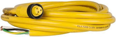 Brad Harrison - 13 Amp, Female Straight to Pigtail Cordset Sensor and Receptacle - 600 Volt, 3.66m Cable Length, IP67 Ingress Rating - All Tool & Supply