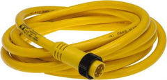 Brad Harrison - 10 Amp, Male Straight to Pigtail Cordset Sensor and Receptacle - 600 Volt, 3.66m Cable Length, IP67 Ingress Rating - All Tool & Supply