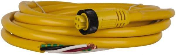 Brad Harrison - 10 Amp, Female Straight to Pigtail Cordset Sensor and Receptacle - 600 Volt, 3.66m Cable Length, IP67 Ingress Rating - All Tool & Supply