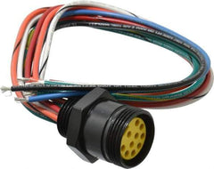 Brad Harrison - 7 Amp, Female Straight Receptacle - 600 VAC/VDC, 0.31m Cable Length, IP67 Ingress Rating - All Tool & Supply