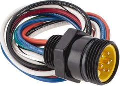 Brad Harrison - 8 Amp, Male Straight Receptacle - 600 VAC/VDC, 0.31m Cable Length, IP67 Ingress Rating - All Tool & Supply