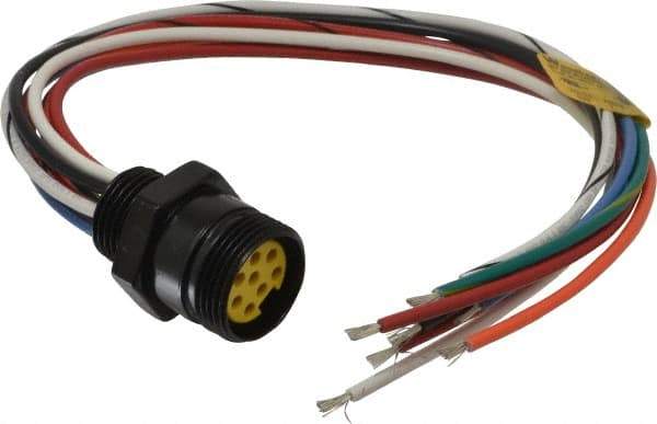 Brad Harrison - 7 Amp, Female Straight Receptacle - 600 VAC/VDC, 0.31m Cable Length, IP67 Ingress Rating - All Tool & Supply