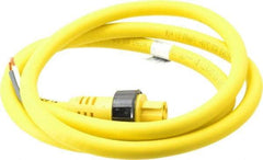 Brad Harrison - 15 Amp, Female Straight to Pigtail Cordset Sensor and Receptacle - 600 Volt, 1.83m Cable Length, IP67 Ingress Rating - All Tool & Supply