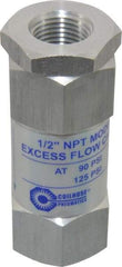 Coilhose Pneumatics - 1/2" Aluminum Check Valve - Inline, FPT x FPT - All Tool & Supply