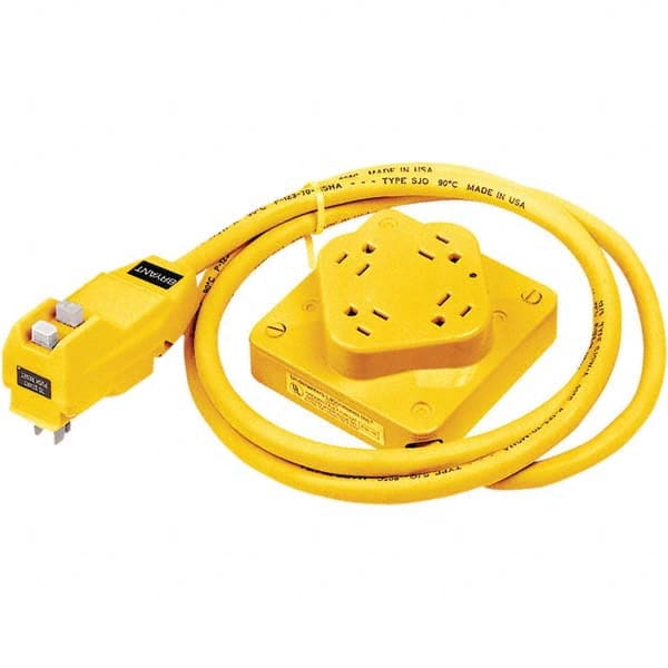 Bryant Electric - GFCI Cords & Power Distribution Centers Mount Type: Plug-In Number of Outlets: 4 - All Tool & Supply