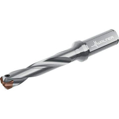 Walter - Replaceable-Tip Drills Series: D4140 Minimum Drill Diameter (mm): 29.00 - All Tool & Supply