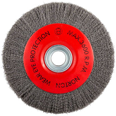 Norton - 10" OD, 3/4" Arbor Hole, Crimped Carbon Wheel Brush - All Tool & Supply