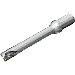 Sandvik Coromant - 100mm Max Drill Depth, 5xD, 20mm Diam, Indexable Insert Drill - All Tool & Supply