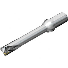 Sandvik Coromant - Indexable Insert Drills Drill Style: DS20 Drill Diameter (mm): 33.00 - All Tool & Supply