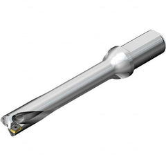 Sandvik Coromant - Indexable Insert Drills Drill Style: DS20 Drill Diameter (Inch): 1-1/8 - All Tool & Supply