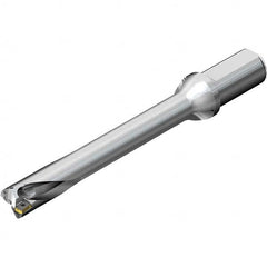 Sandvik Coromant - Indexable Insert Drills Drill Style: DS20 Drill Diameter (mm): 32.00 - All Tool & Supply