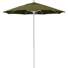 Patio Umbrellas; Diameter (Feet): 7.5; Height (Feet): 8.000; Fabric Color: Palm; Base Included: No; Canopy Fabric: Pacifica; Fade Resistant: Yes; Additional Information: Push Lift; Frame Material: Aluminum