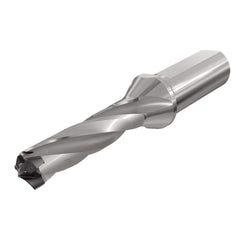 Replaceable Tip Drill: 0.787 to 0.823'' Drill Dia, 2.534″ Max Depth, 1'' Flatted Shank Uses H3P Inserts, 6.19″ OAL, Through Coolant