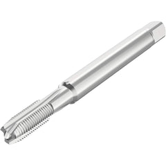 Seco - Spiral Point Taps Thread Size (mm): M4 Number of Flutes: 3 - All Tool & Supply