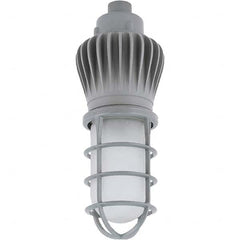 Hubbell Lighting - Hazardous Location Light Fixtures Resistance Features: Vaporproof Recommended Environment: Indoor; Outdoor - All Tool & Supply