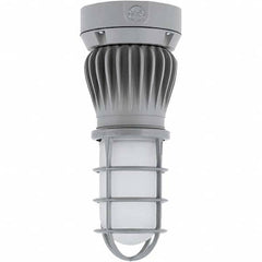 Hubbell Lighting - Hazardous Location Light Fixtures Resistance Features: Vaporproof Recommended Environment: Indoor; Outdoor - All Tool & Supply