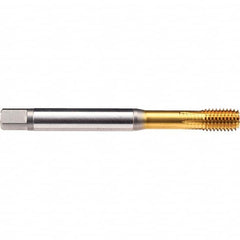 Emuge - M5x0.80 Metric 6HX Bottoming Thread Forming Tap - All Tool & Supply