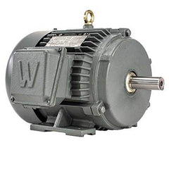 Worldwide Electric - Electric AC/DC Motors Motor Type: Premium Efficient Type of Enclosure: TEFC - All Tool & Supply