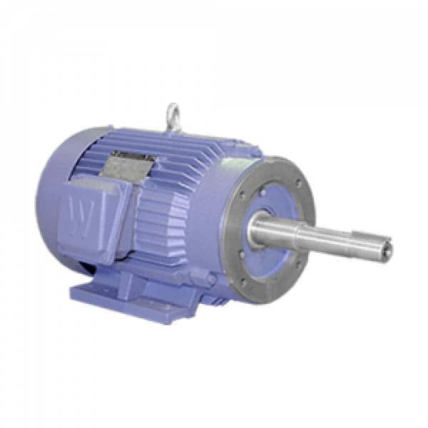 Worldwide Electric - Electric AC/DC Motors Motor Type: Premium Efficient Type of Enclosure: TEFC - All Tool & Supply